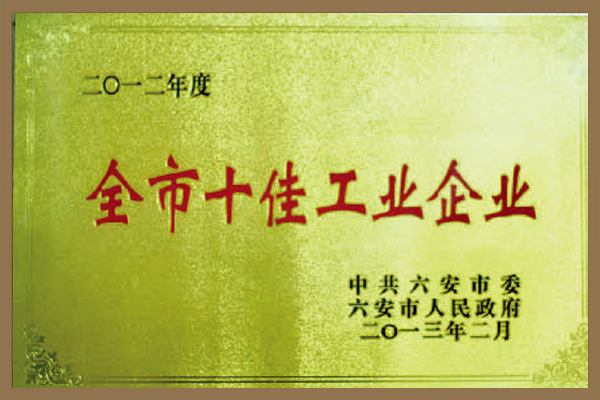 集團被六安市委、市政府評為“全市十佳工業(yè)企業(yè)”。